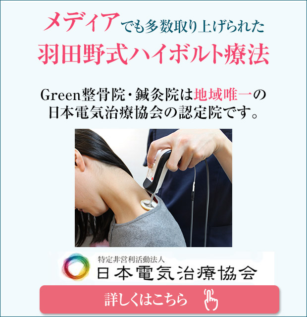 日本電気治療協会